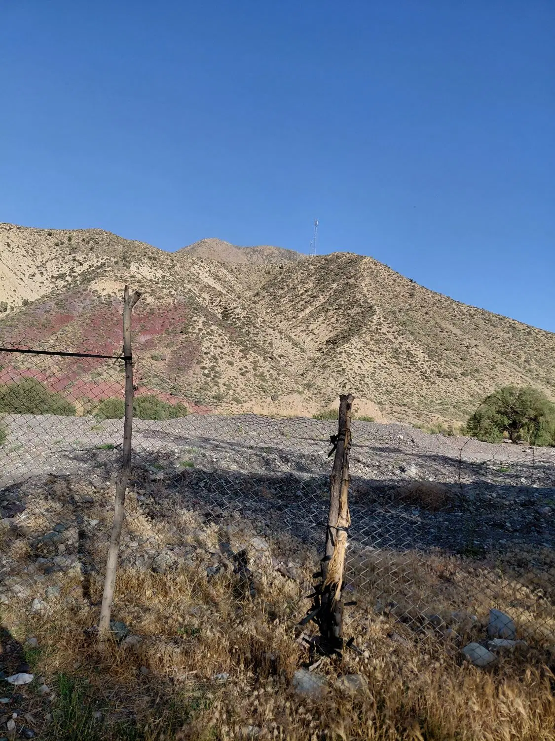 باغ دهبکری لب رودخانه