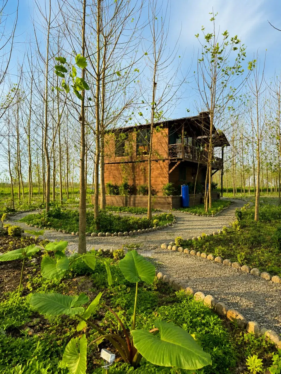یک تصمیم برای تمام عمر