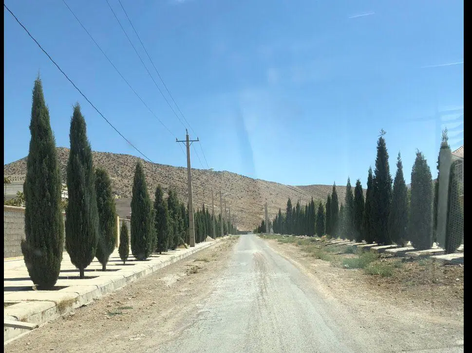 باغچه ملوسجان طلاییه