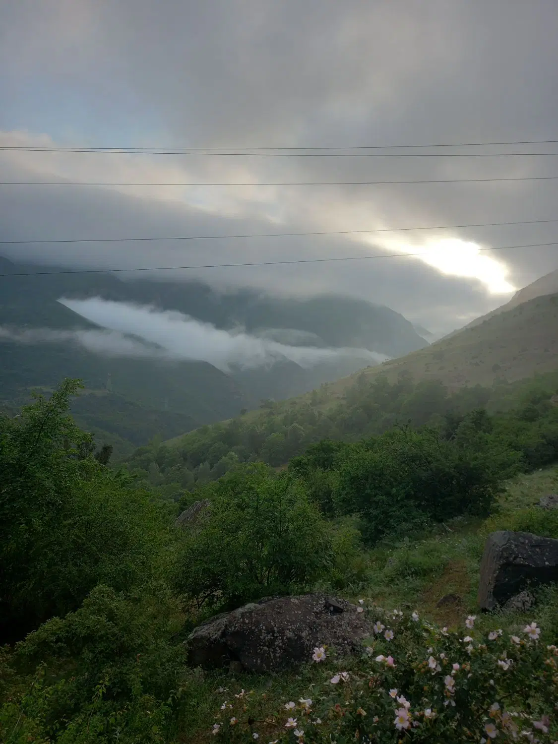 ۵۰۰متر زمین در منطقه آزاد مازندران کلاردشت