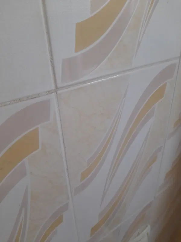 اجاره مغازه فتح آباد
