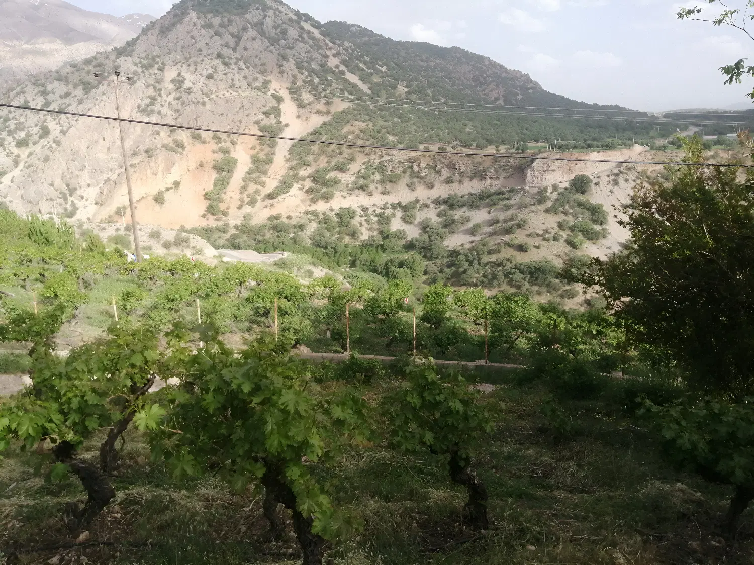 فروش ومعاوضه باغ در بیاره سی سخت