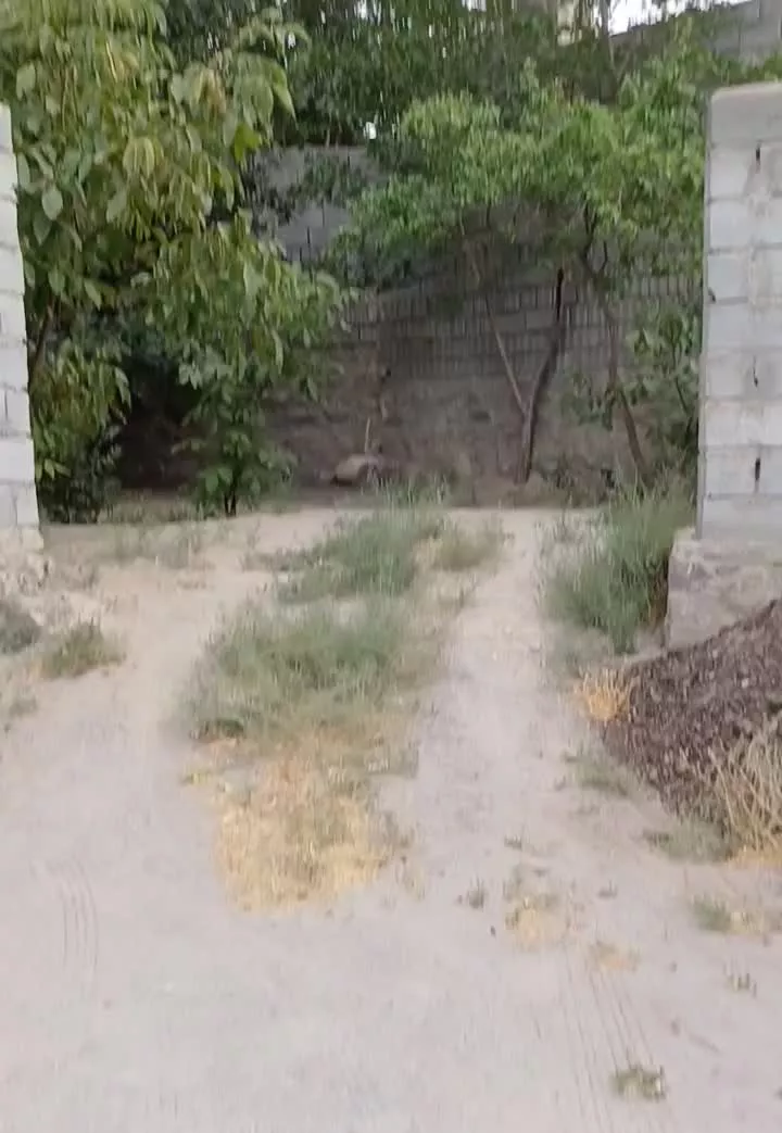 فروش باغ ۶۶۰ متری در باغات اسفهلان