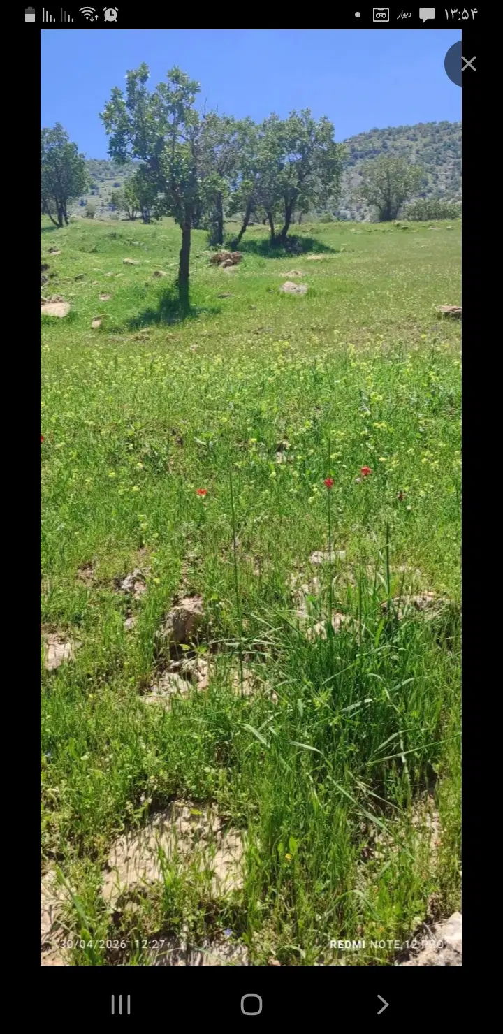 زمین هفت چشمه