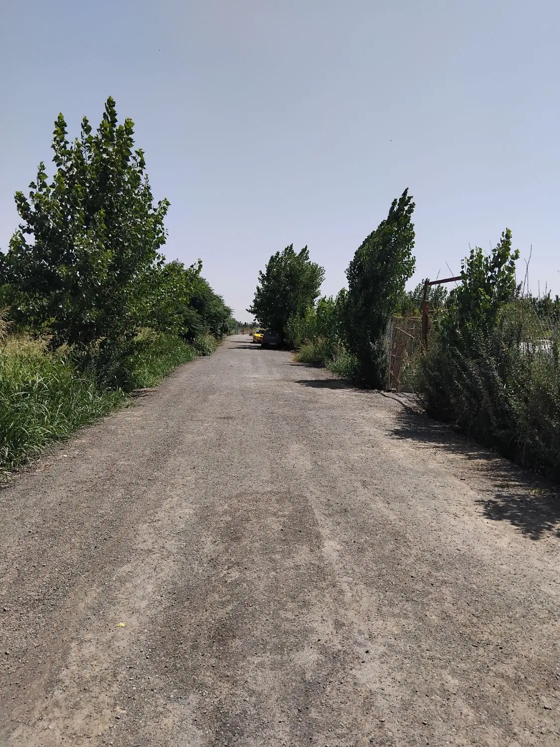 باغچه ۴۳۲ متری سند دار