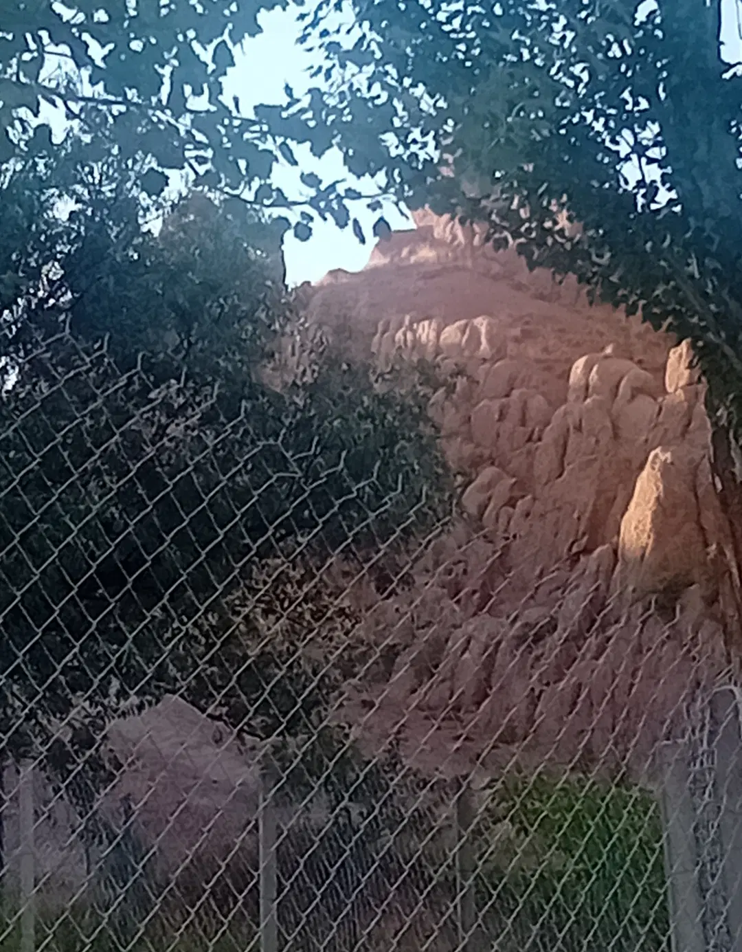 زمین ۲۶۰متر