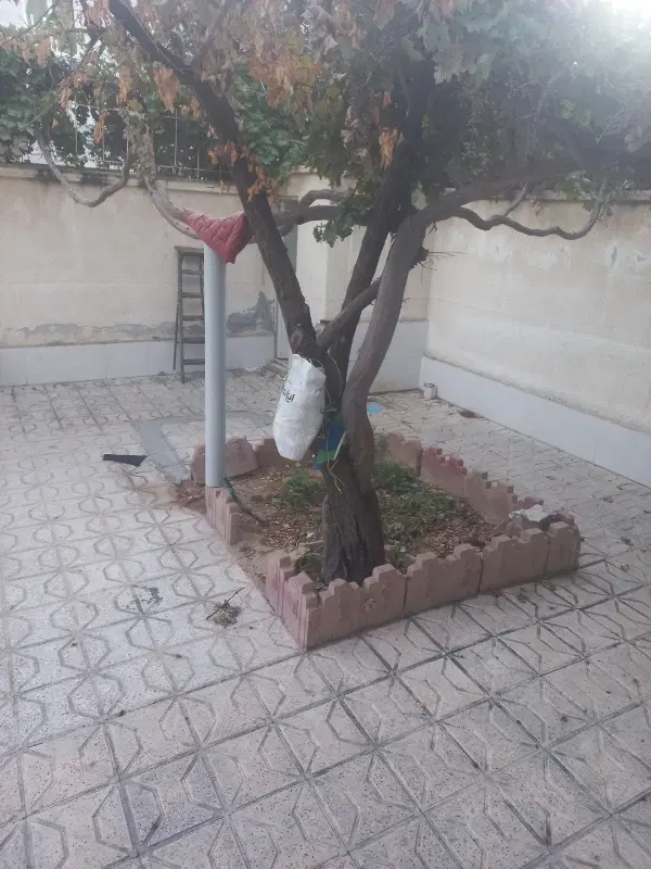 فروش منزل ویلایی و معاوضه با دوطبقه رو پیلوت