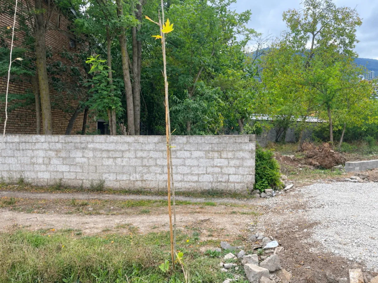 زمین تجاری بر اصلی ۱۳۶متر مربع دو بر