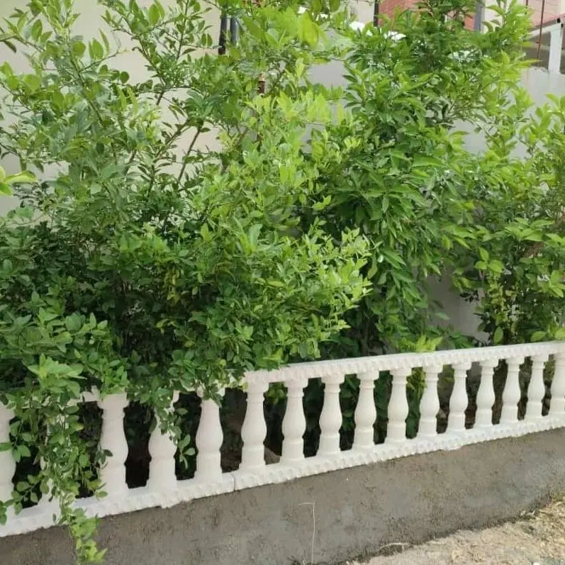 زمین باغ ۴۰۰ متری سند تک برگ