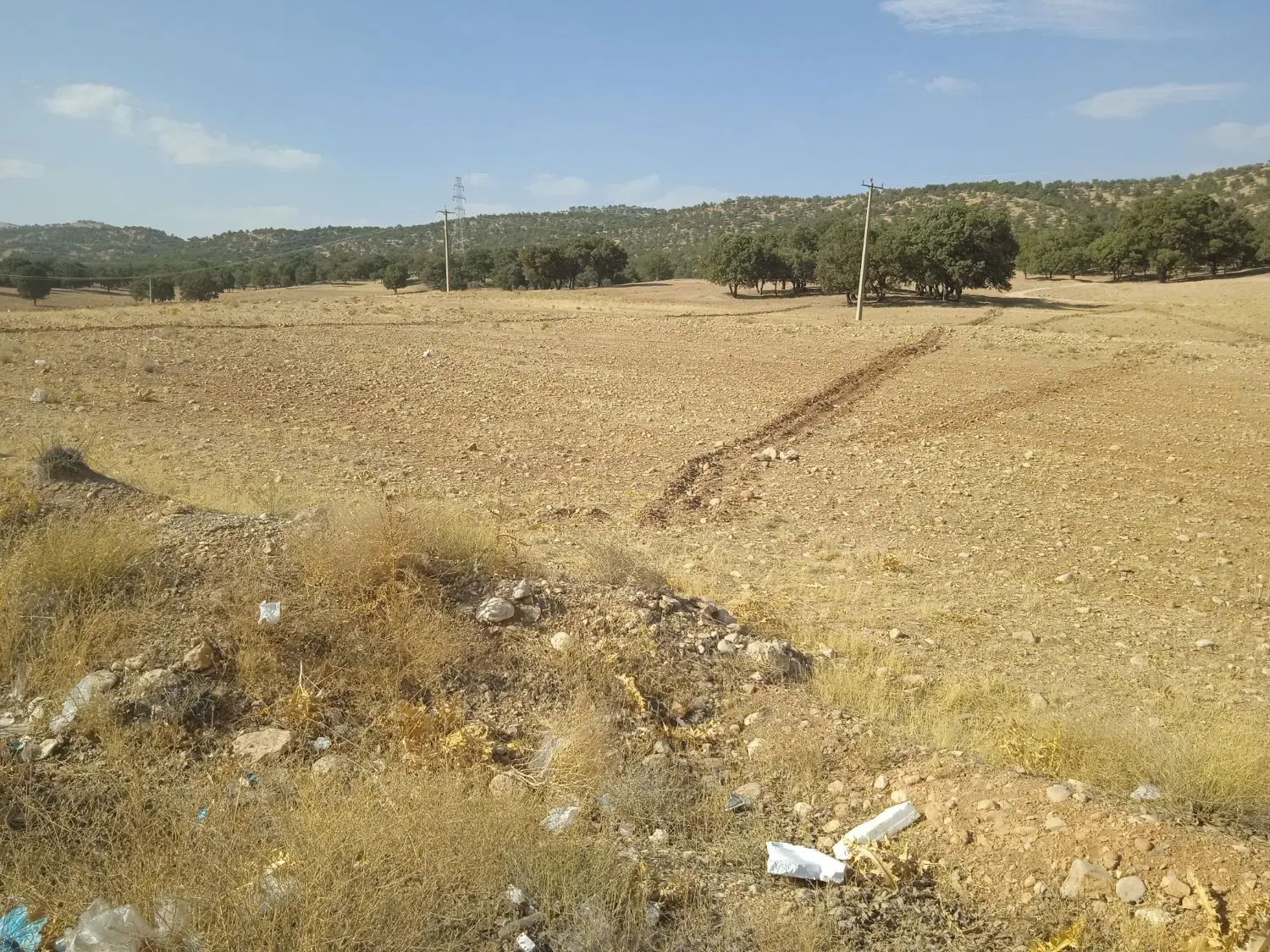 پنج هزار متر زمین سر جاده دمچنار