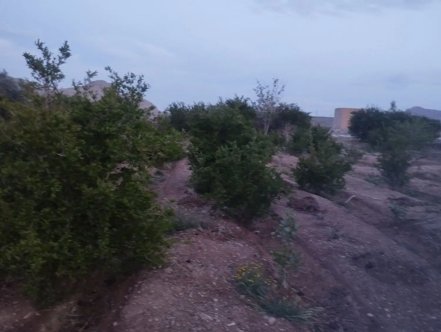 زمین مسکونی خمینی شهرباخودروهم معاوضه میکنم