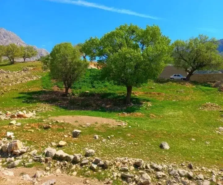 فروش زمین کشاورزی