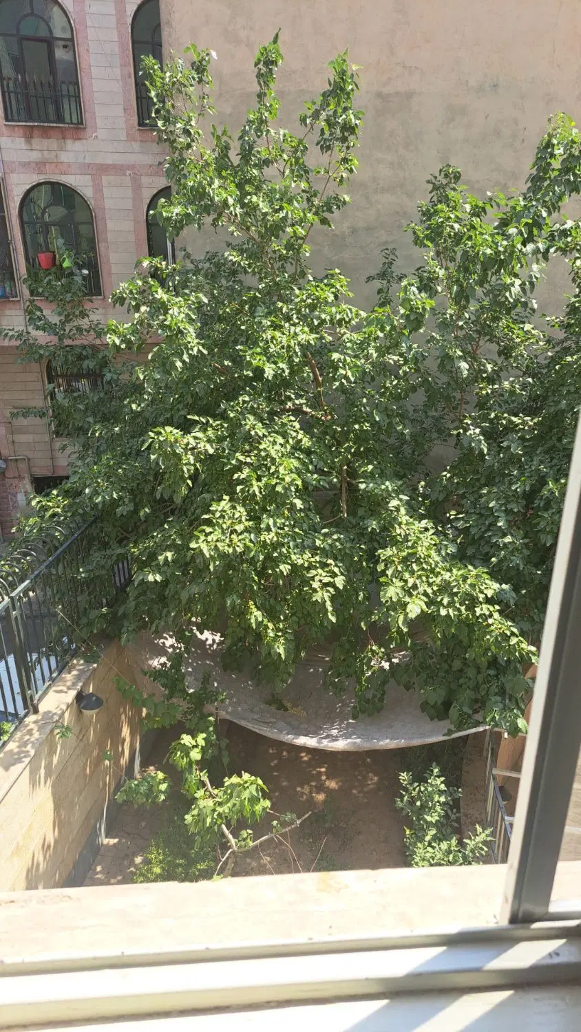 اجاره‌ به بستنی و آبمیوه در ایران زمین شمالی