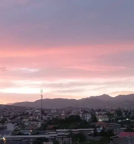 هم خانه بی حاشیه