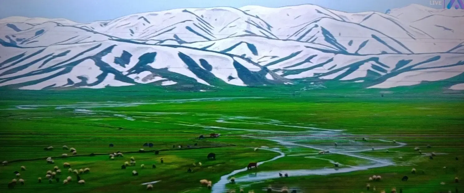 فروش زمین برای خانه باغ و طرح