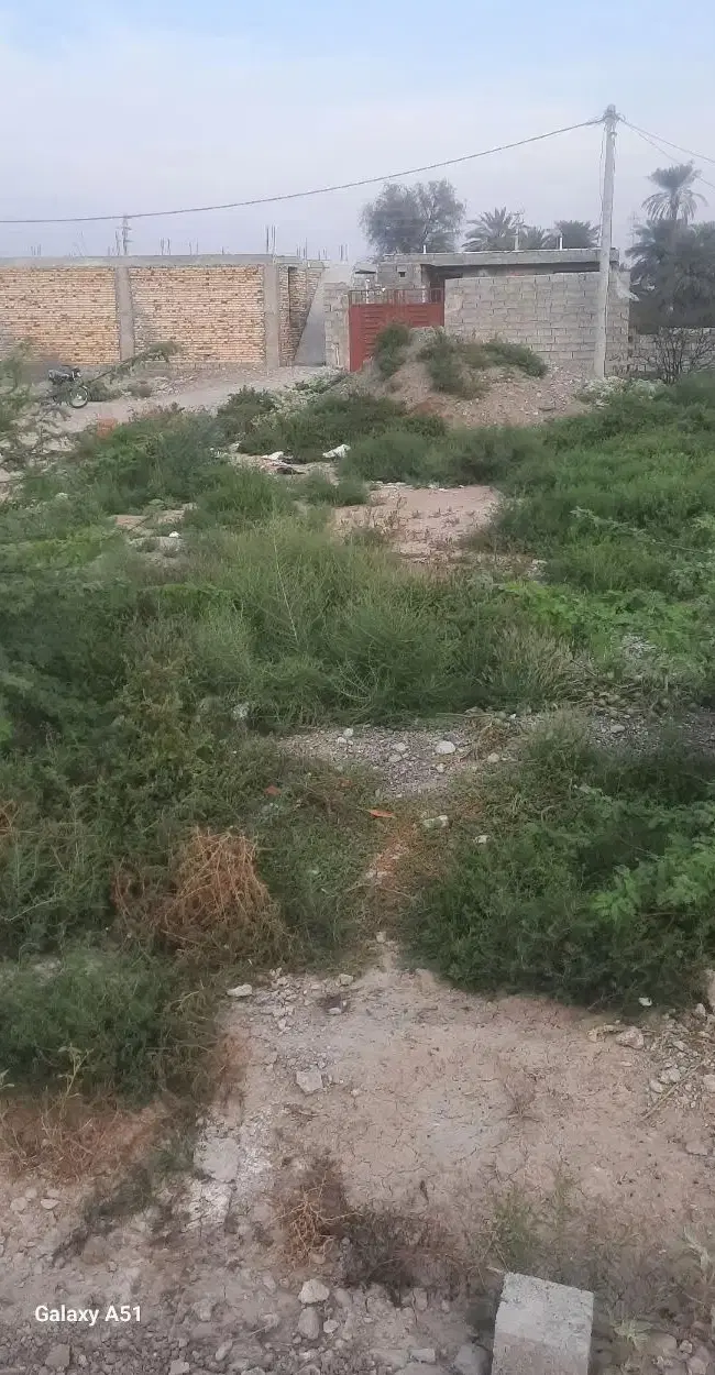 زمین