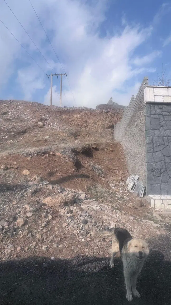 زمین با سند شش دانگ و متراژ پایین فوری