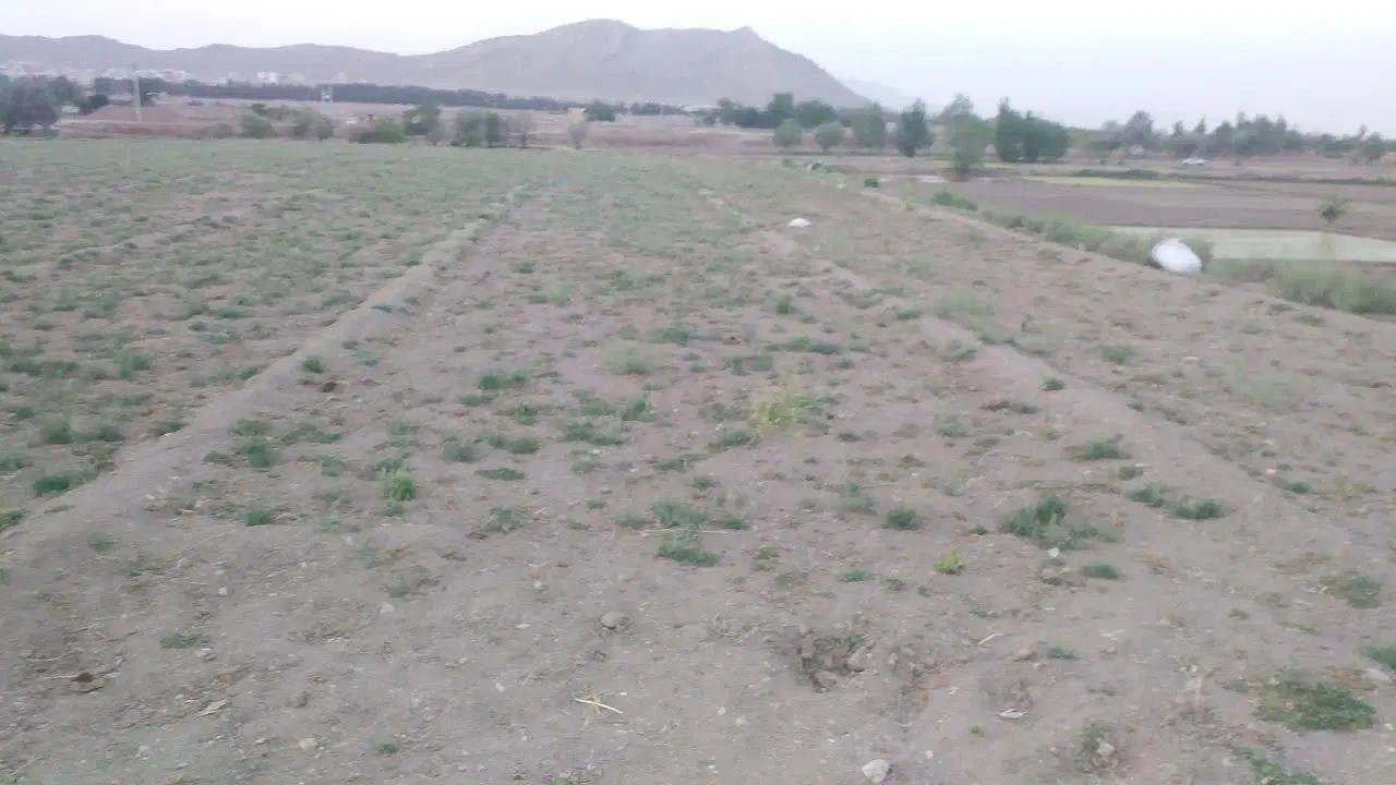 فروش زمین صحرایی