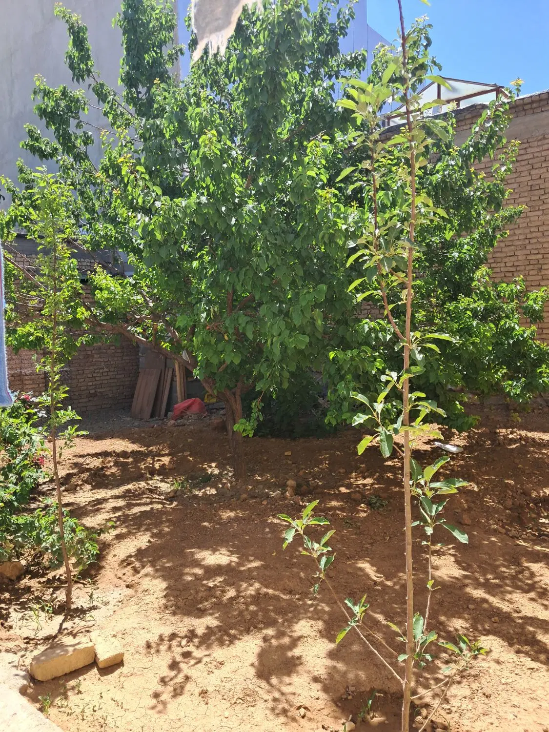 خانه ویلایی در هفشجان