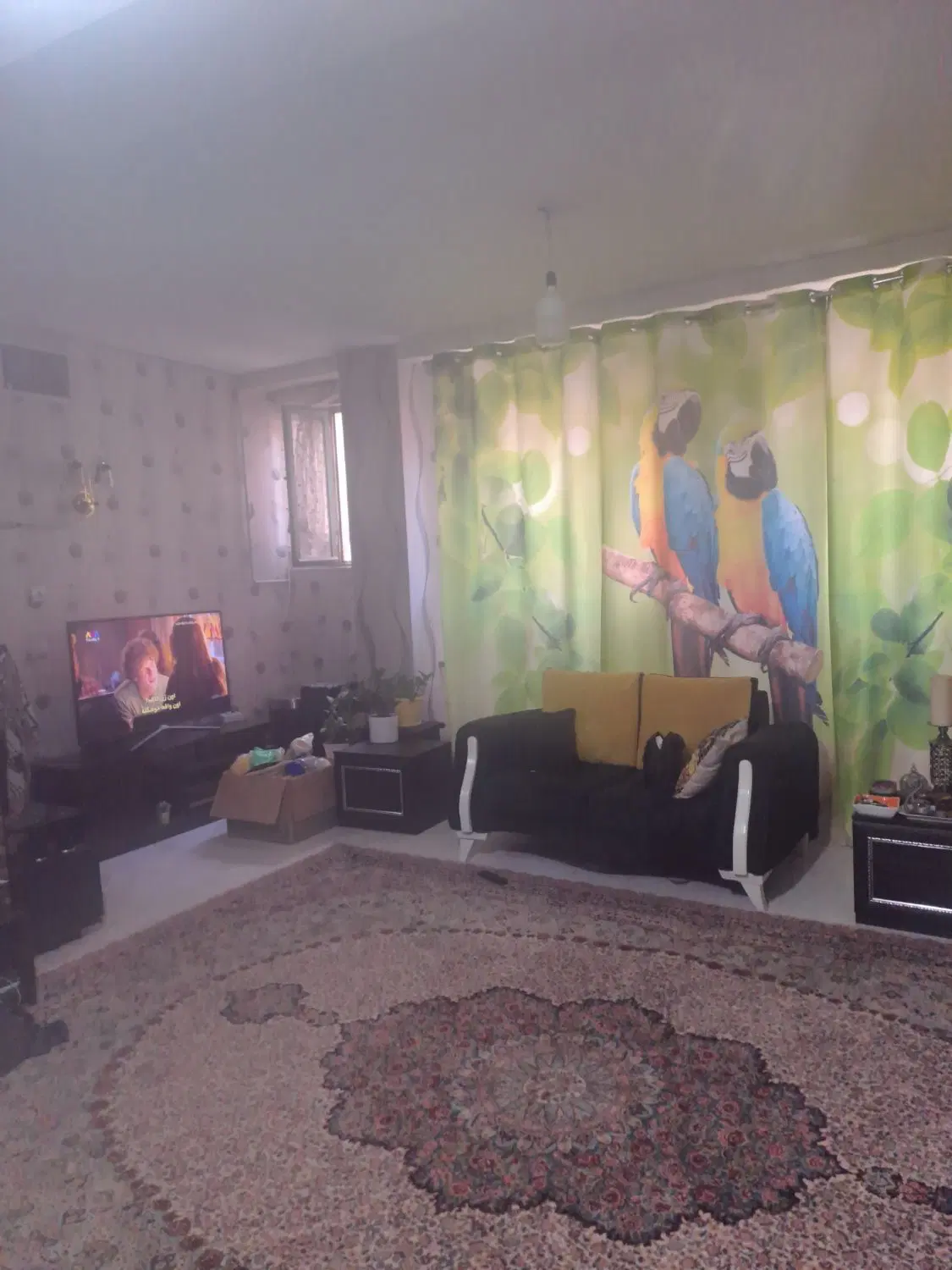 اجاره خانه ۶۵ متری