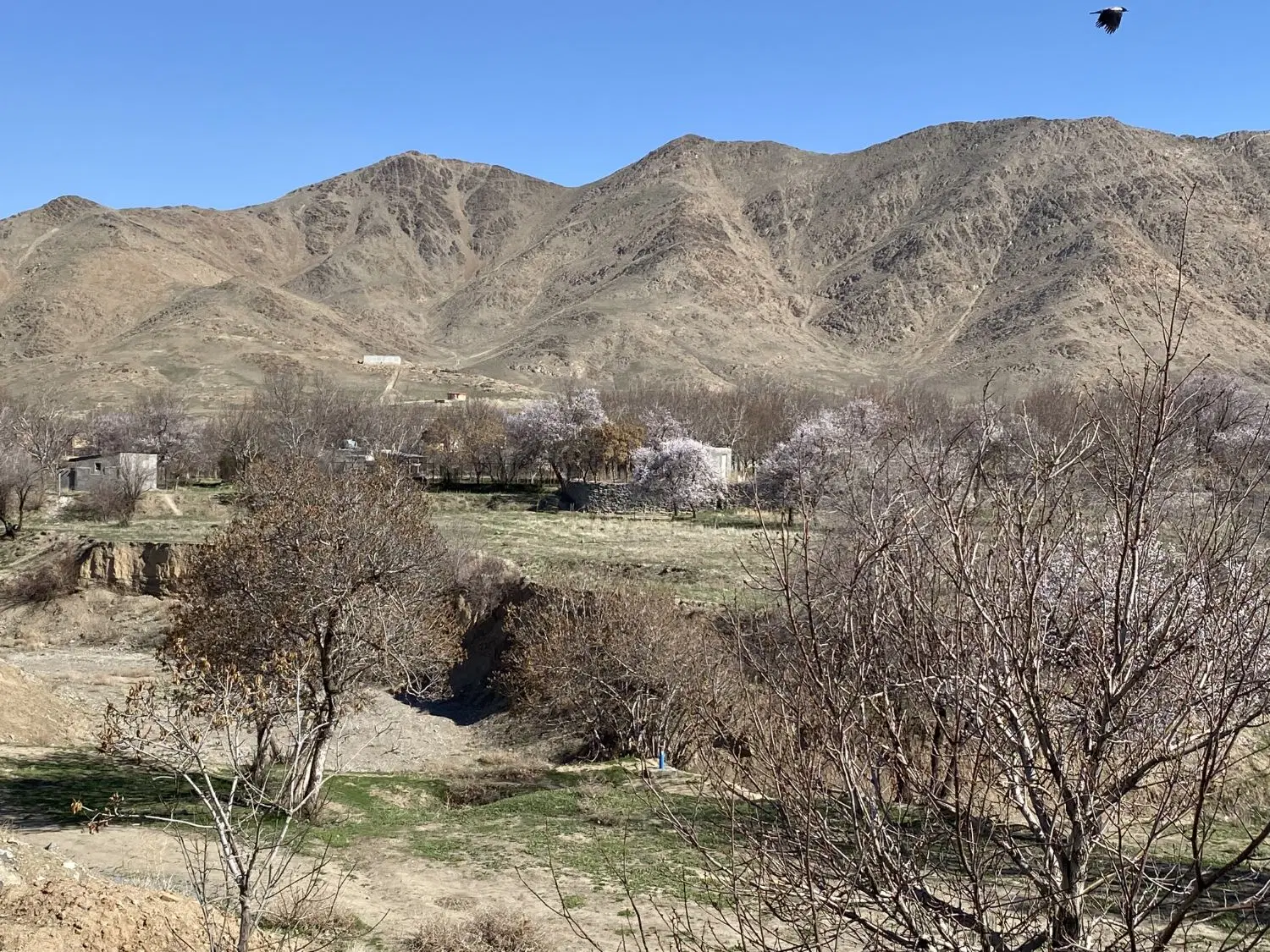 زمین باغی کرهرود ۳۰۰ متر