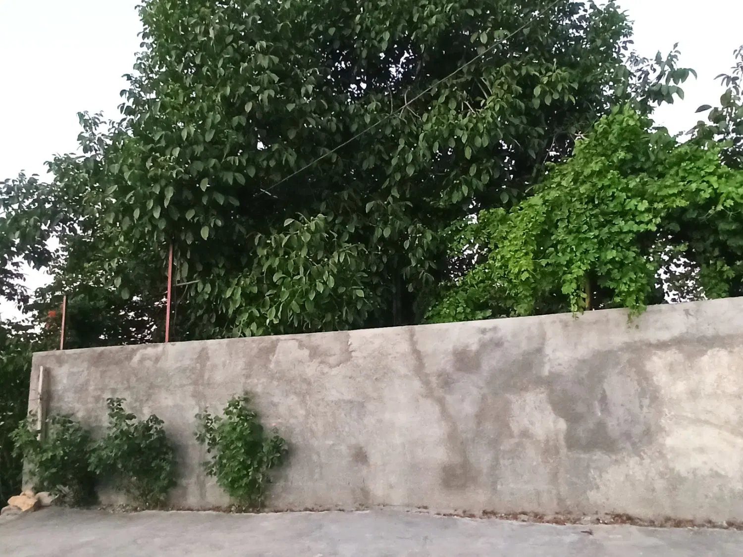 زمین فروش در ایلام سرطاف