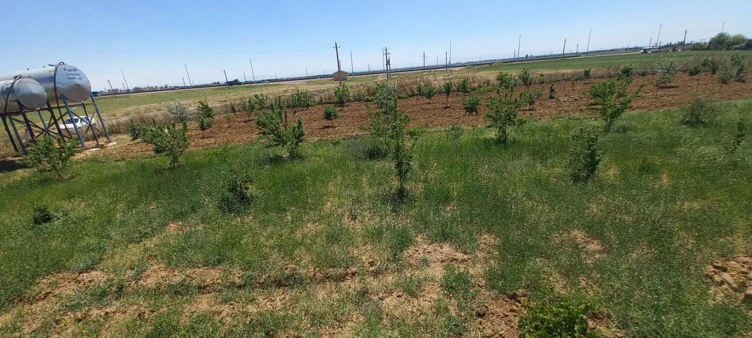 باغ نزدیک خیابان اصلی بین بیدستان و محمدیه