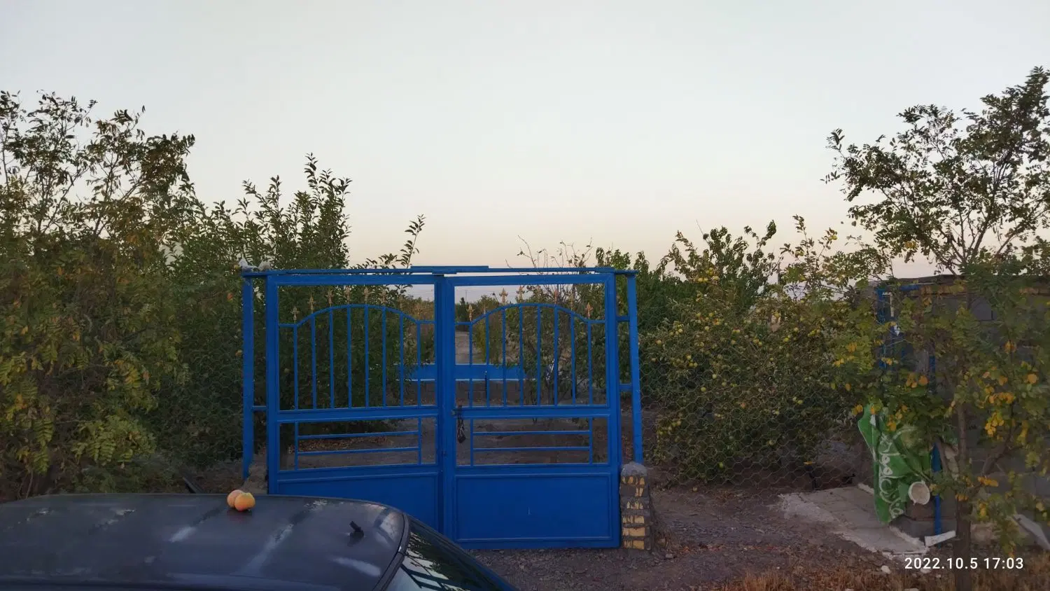 زمین باغستان ثامن