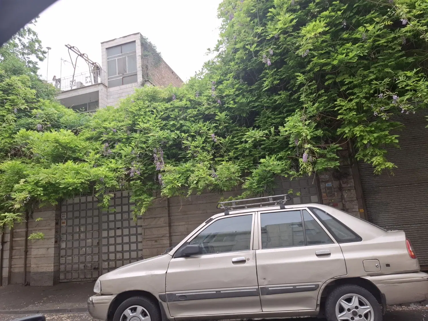 کلنگی با دستور نقشه 6 طبقه