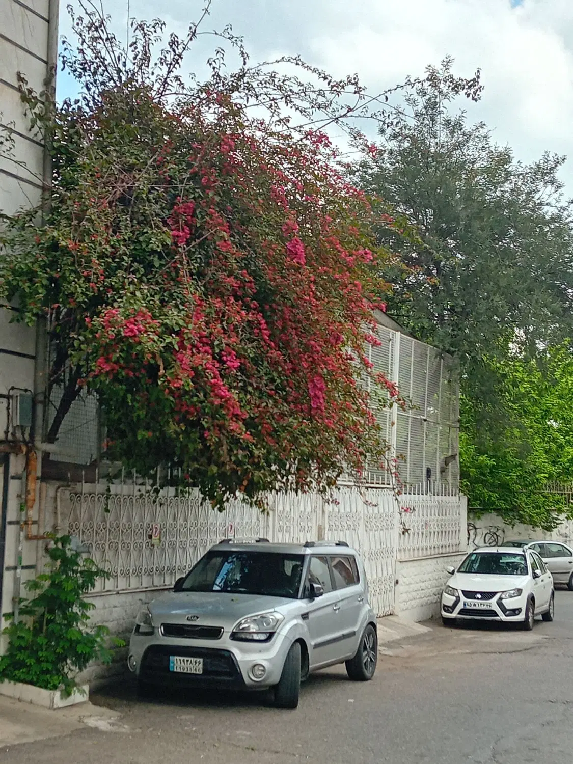 ۳۰۰متر با جواز ساخت در شهر احمدسرگوراب