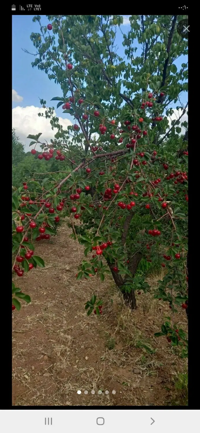فروش زمین