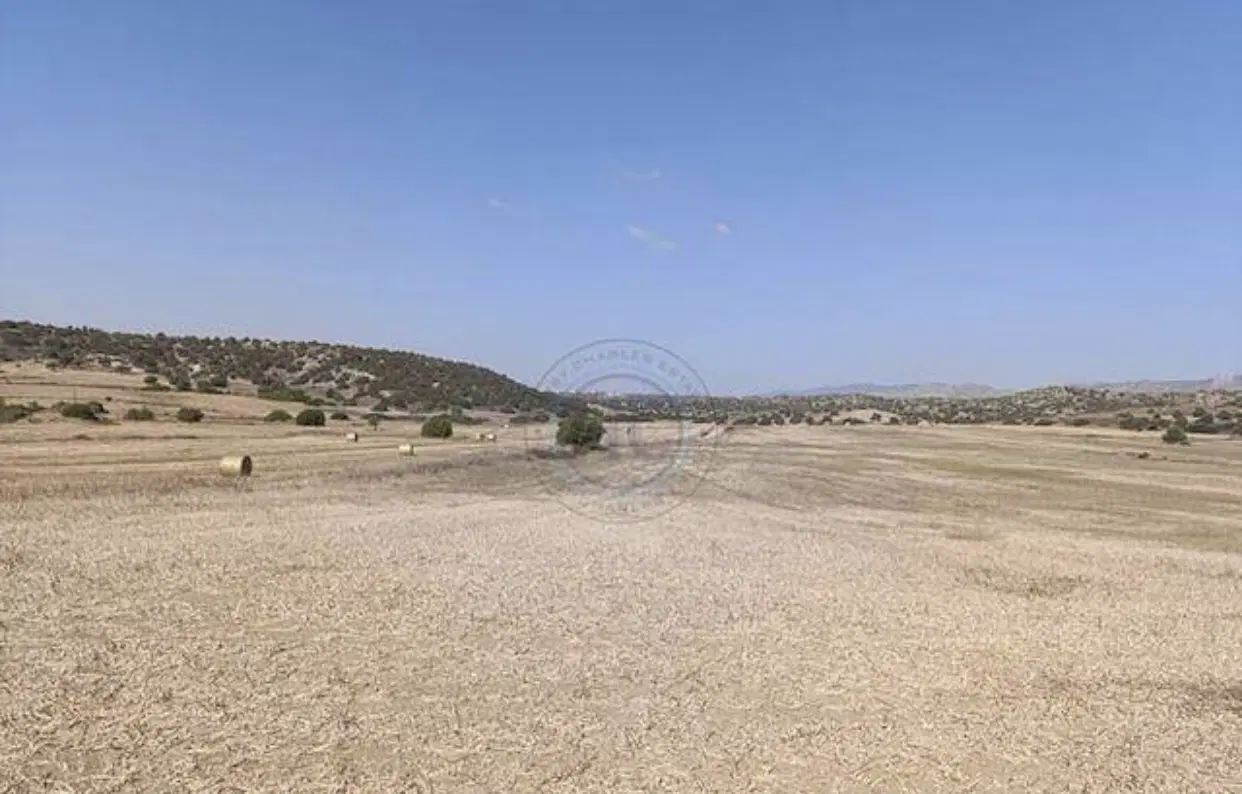 زمین