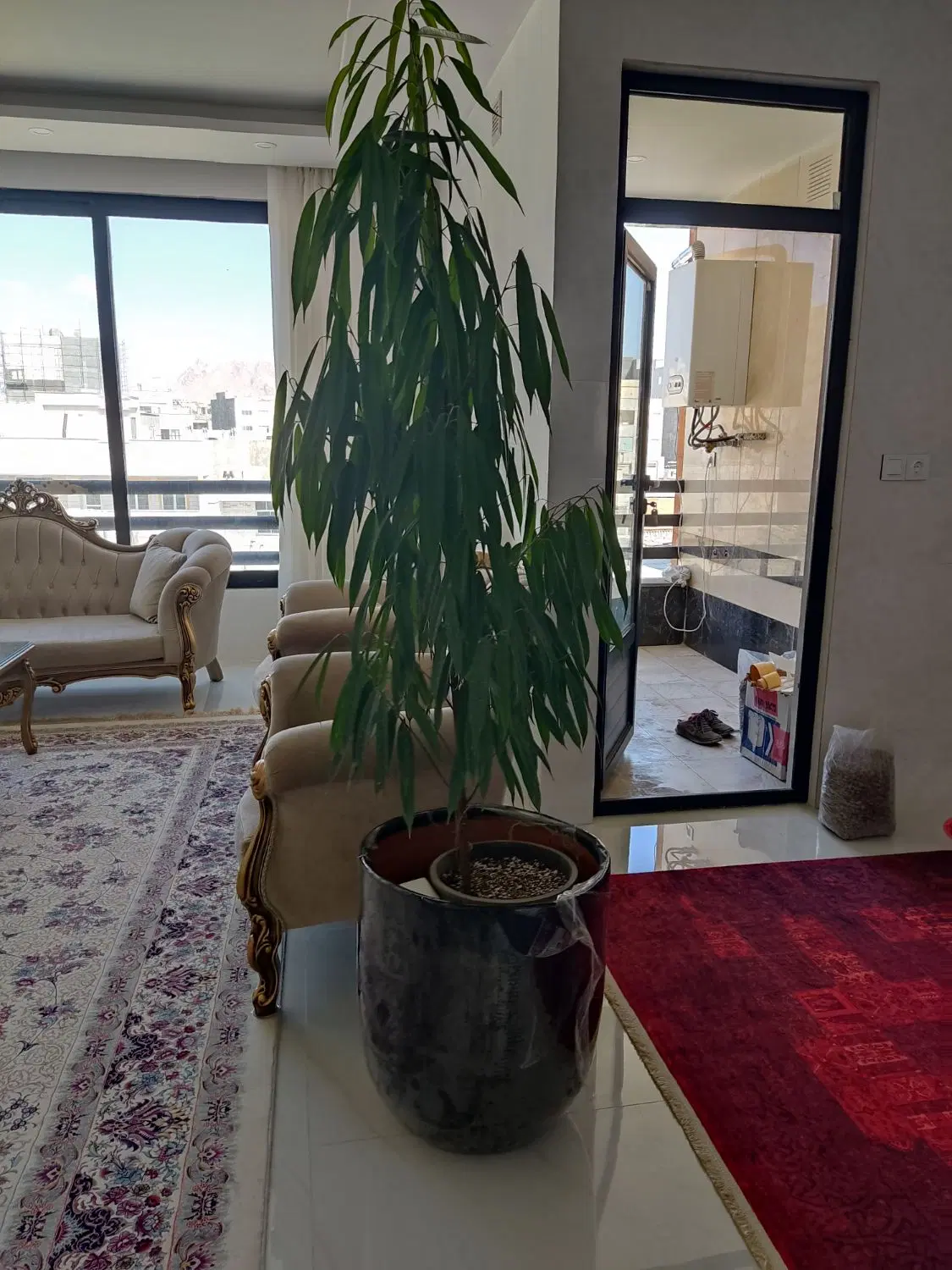 تک واحدی معلم