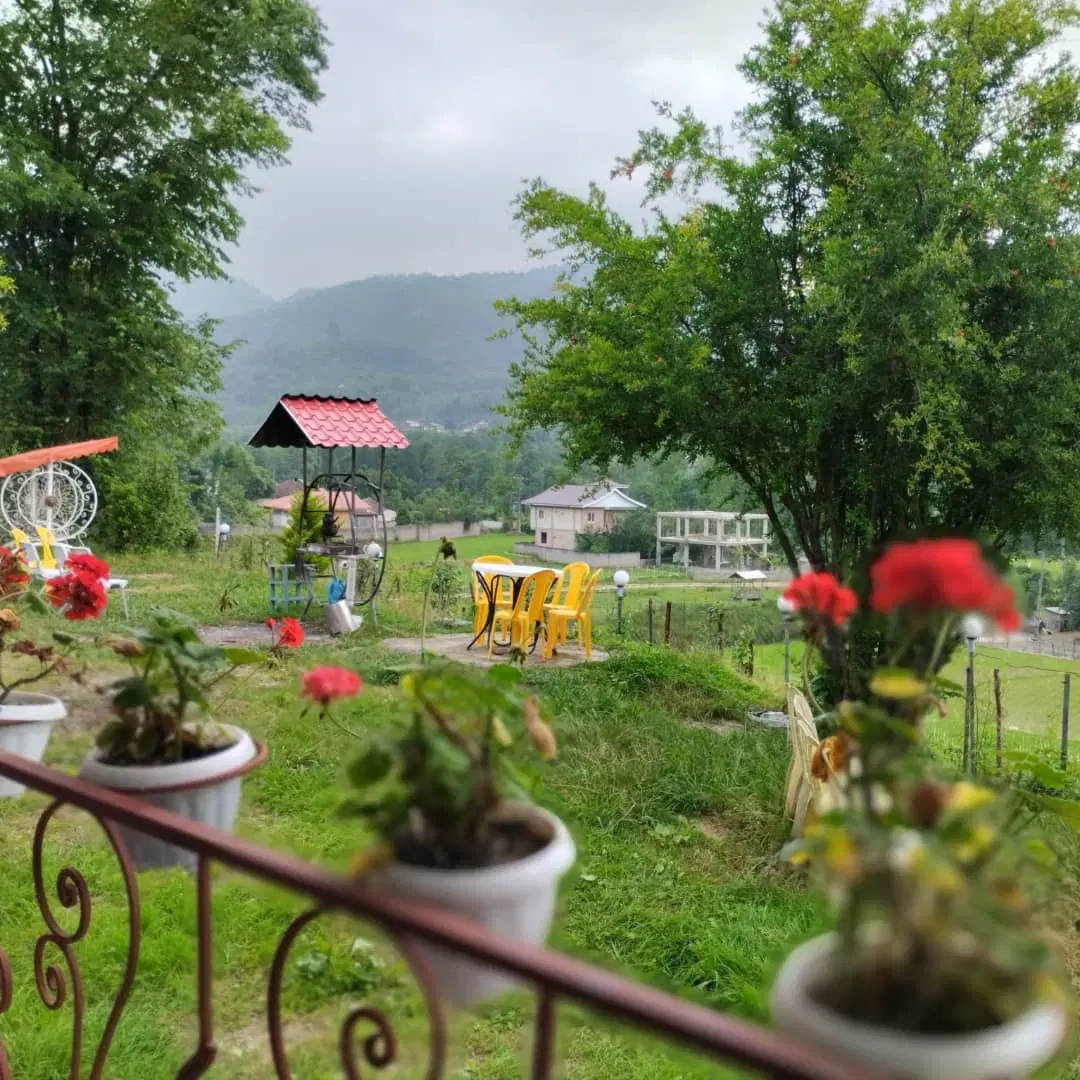 ویلا جنگلی سنتی با ویوی پرفکت تماشای