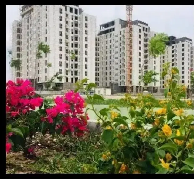 پیش فروش سهام نیک ترابرفاز ۳