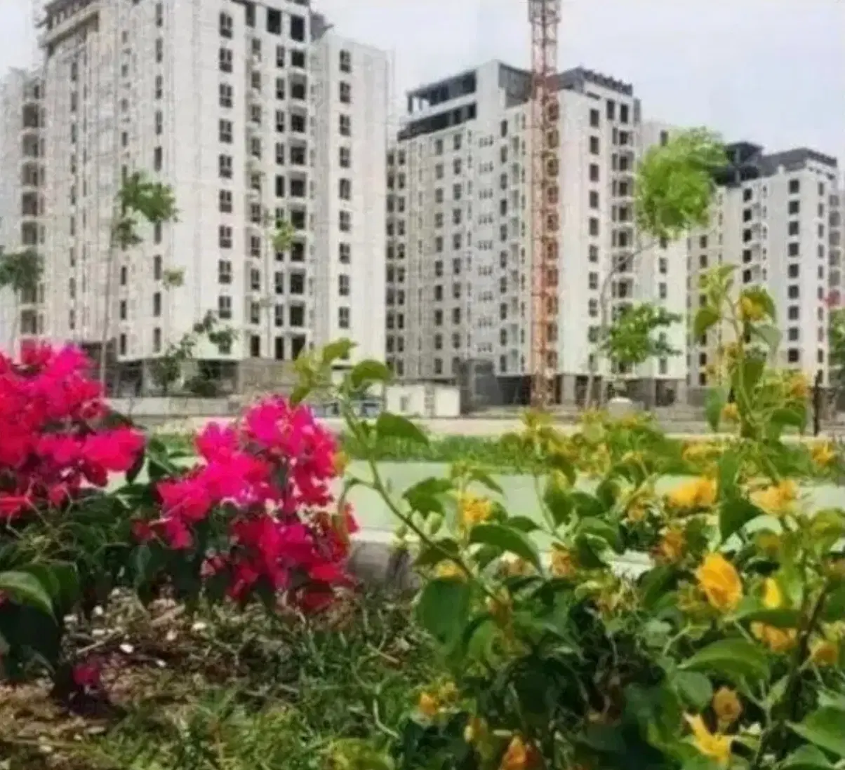 نیکترابر