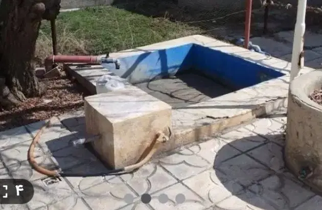 باغ ایستاده
