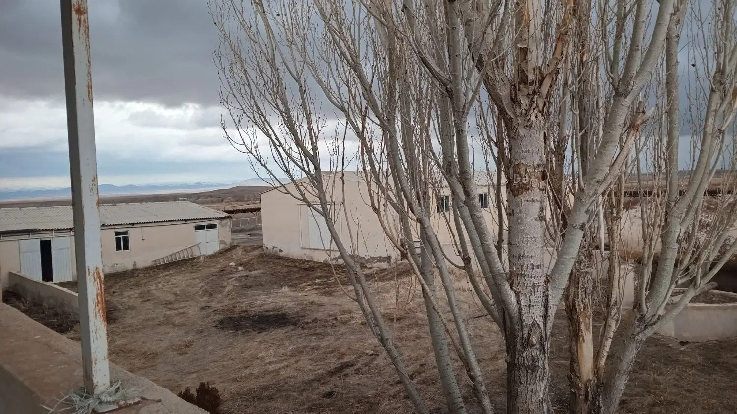 گاو‌داری ، مرغداری سند شش‌دانگ