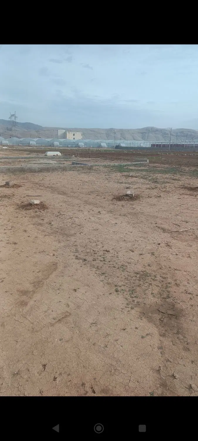 زمین در آرمستان روستای داریی