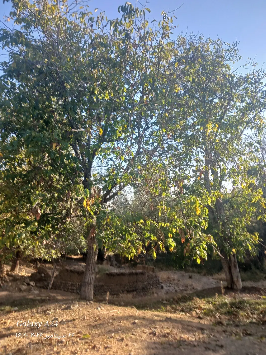 زمین مسکونی بیدان