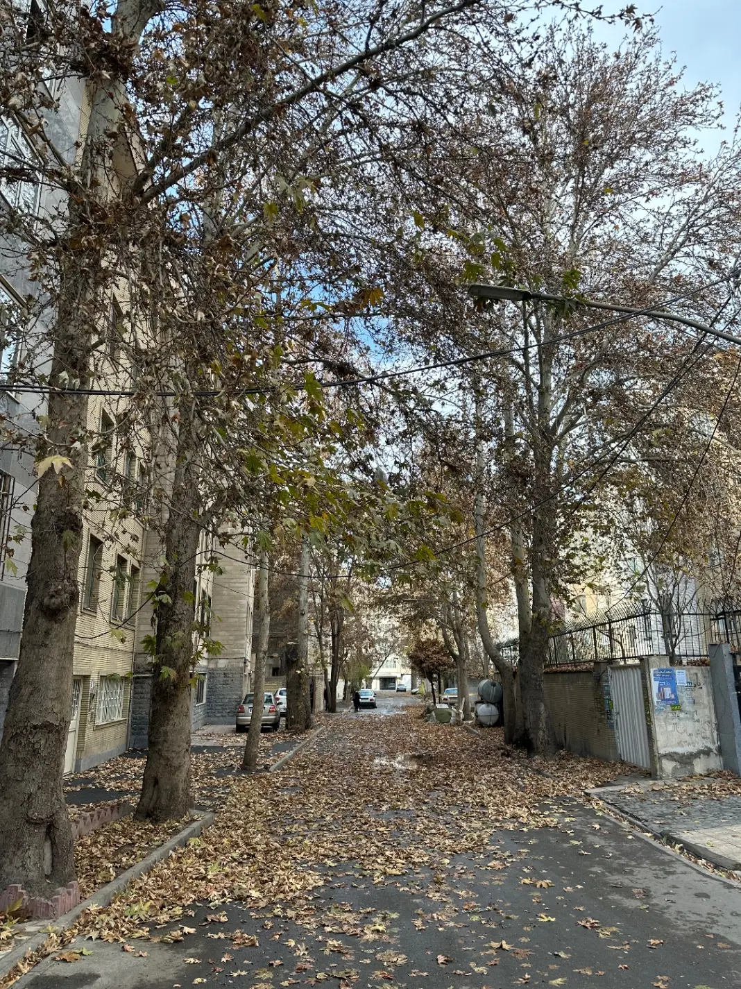 ویلایی ۲۵۰متری_جنوبی_بهترین فرصت_مهرشهر ارم