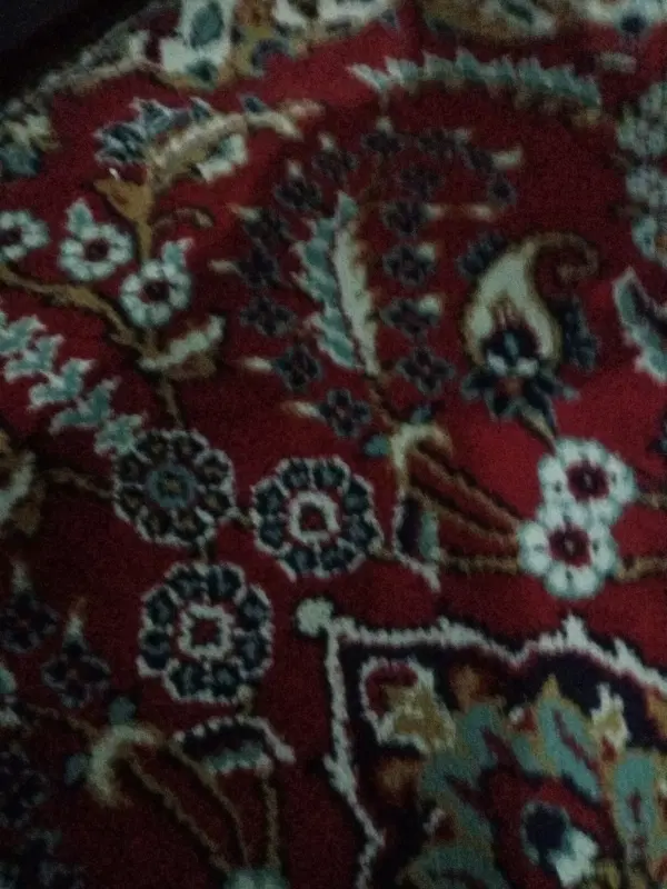 همخونه
