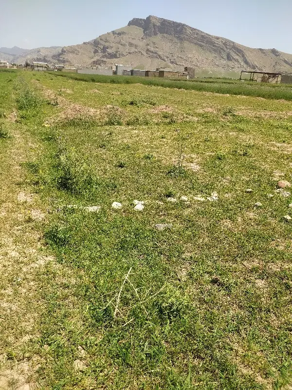 زمین سراب یاس کوچه یاس 18