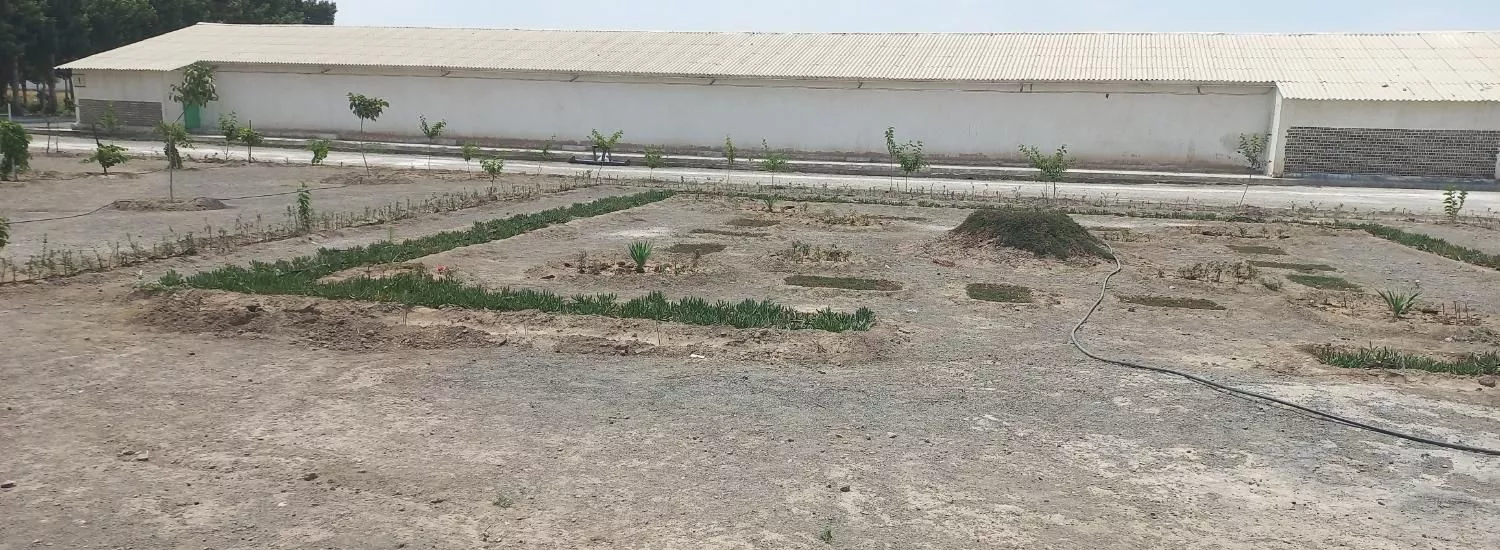 زمین حصار شیرعلی ، ۵۰ درصد قابل معاوضه