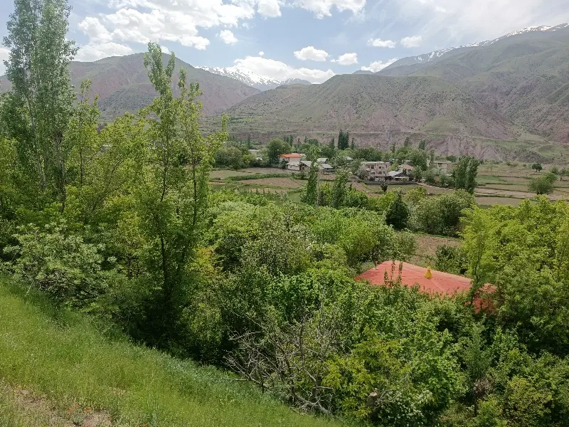 باغ کنار جاده روستای شهرک الموت