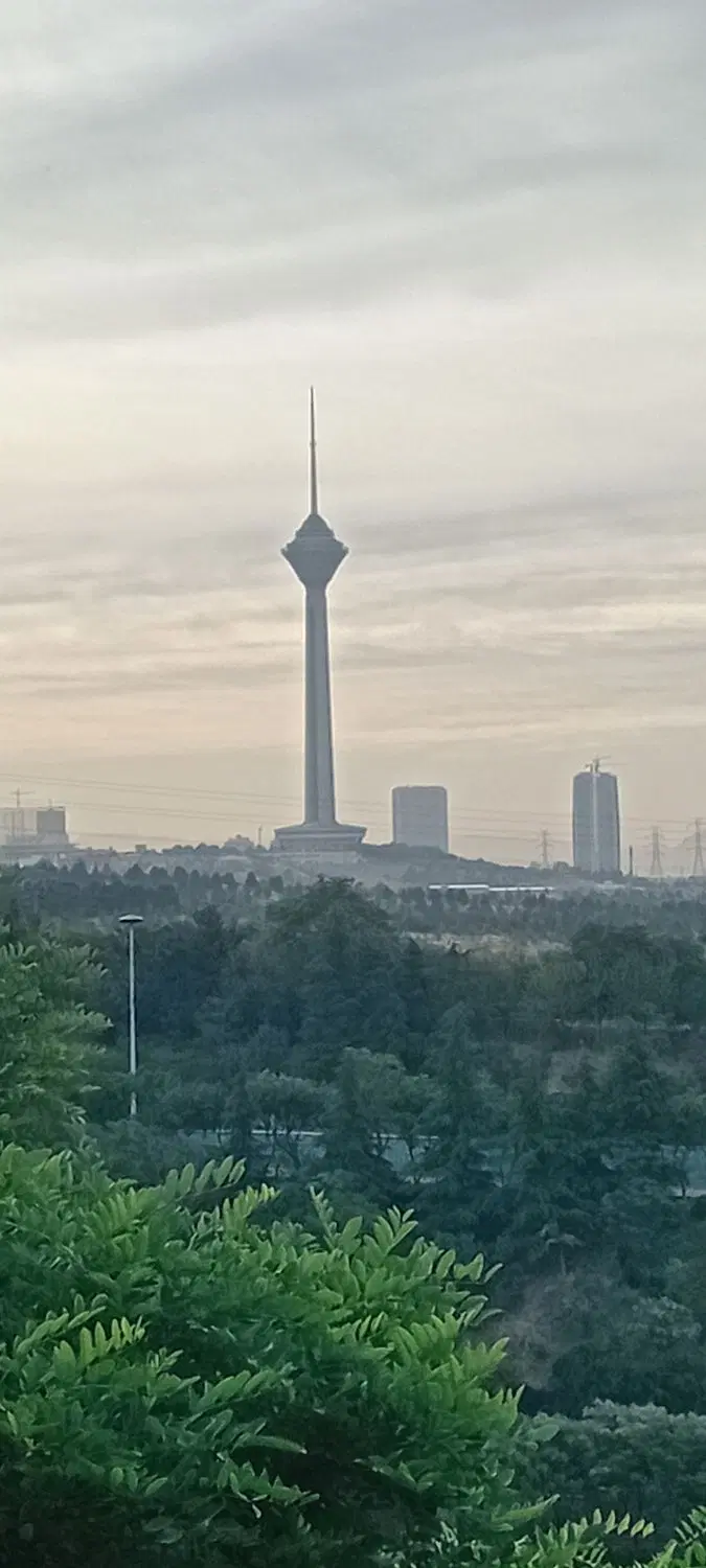 همخونه میشم