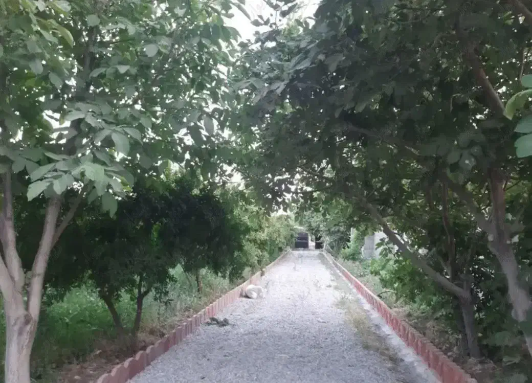 فروش باغچه