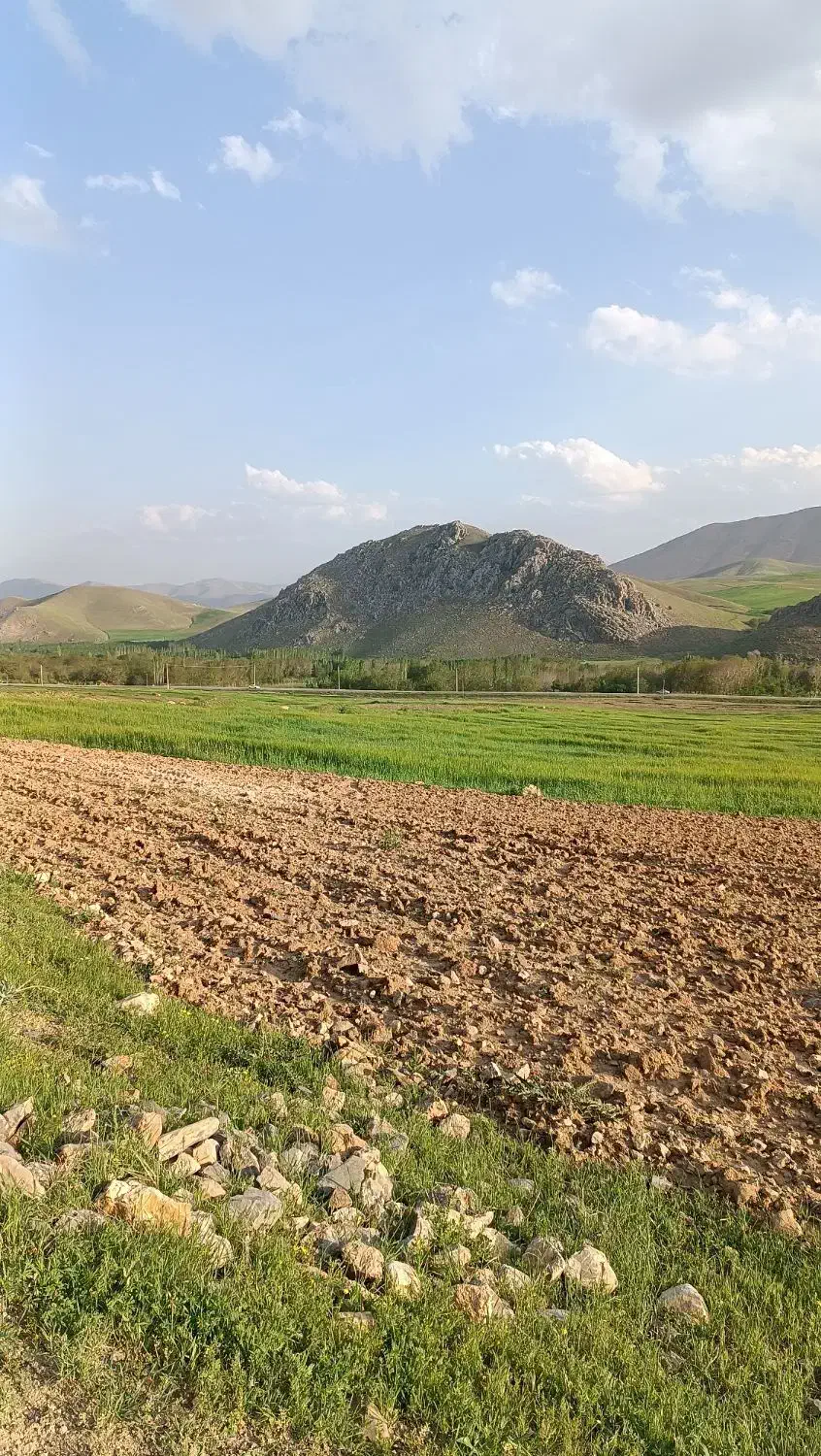 فروش زمین دیم در روستای قره گزلو سفلی