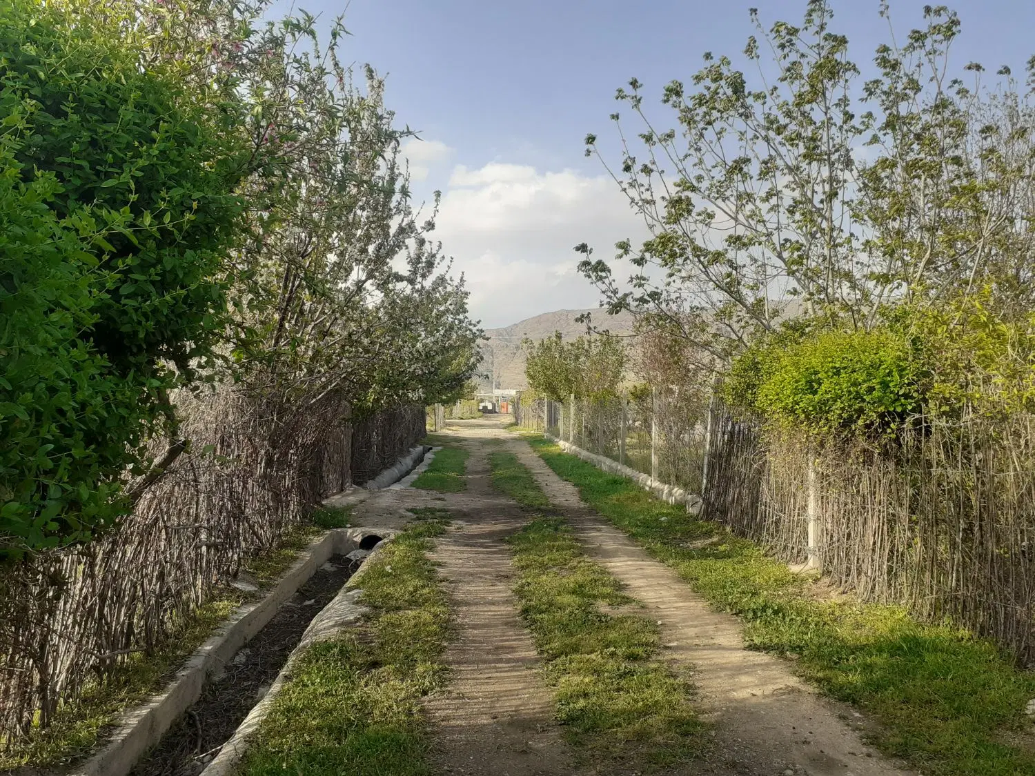 باغ