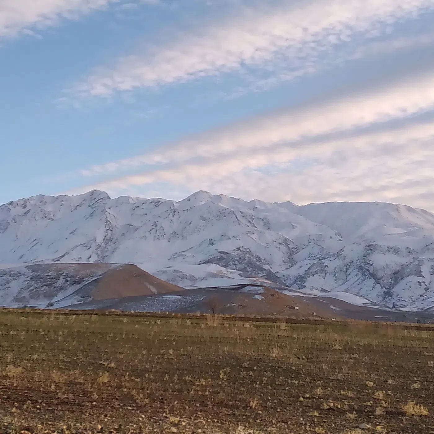 زمین کشاورزی اجاره ای آبی